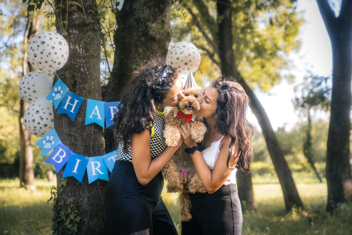 Nour, Maya et Twix pendant leur séance photo