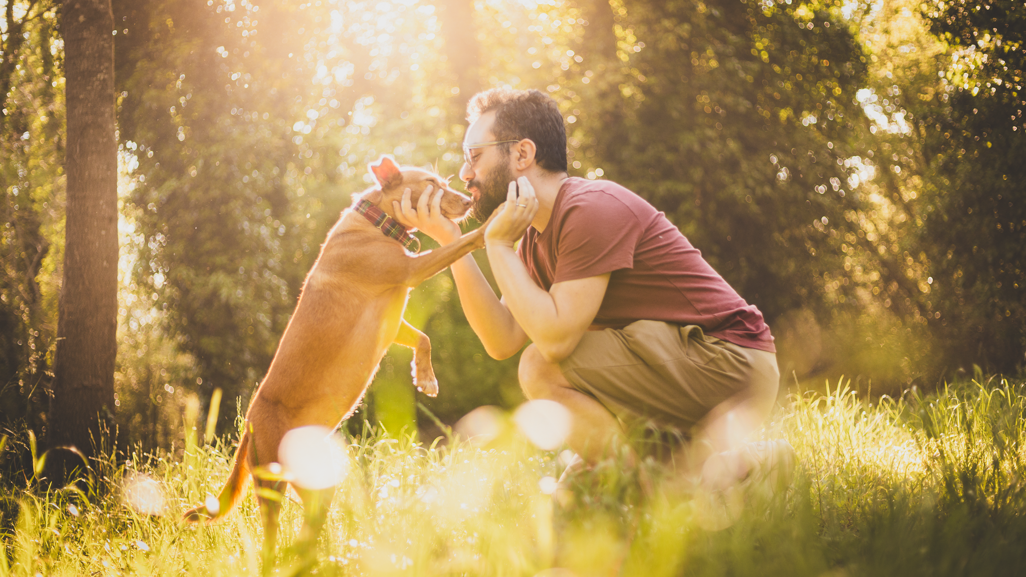 Chien et son humain dans une lumière dorée