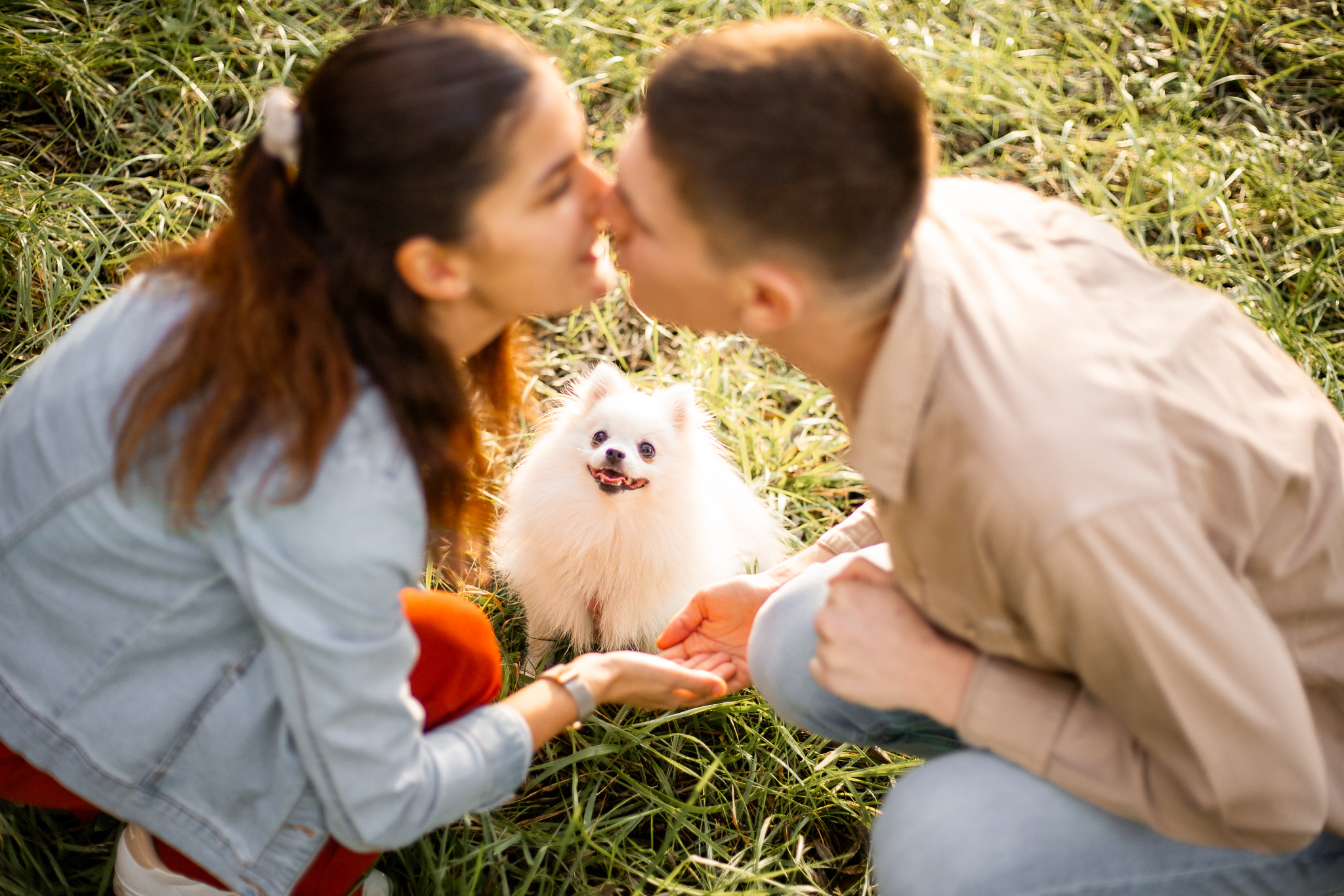 Chien blanc entre ses humains dans l'herbe