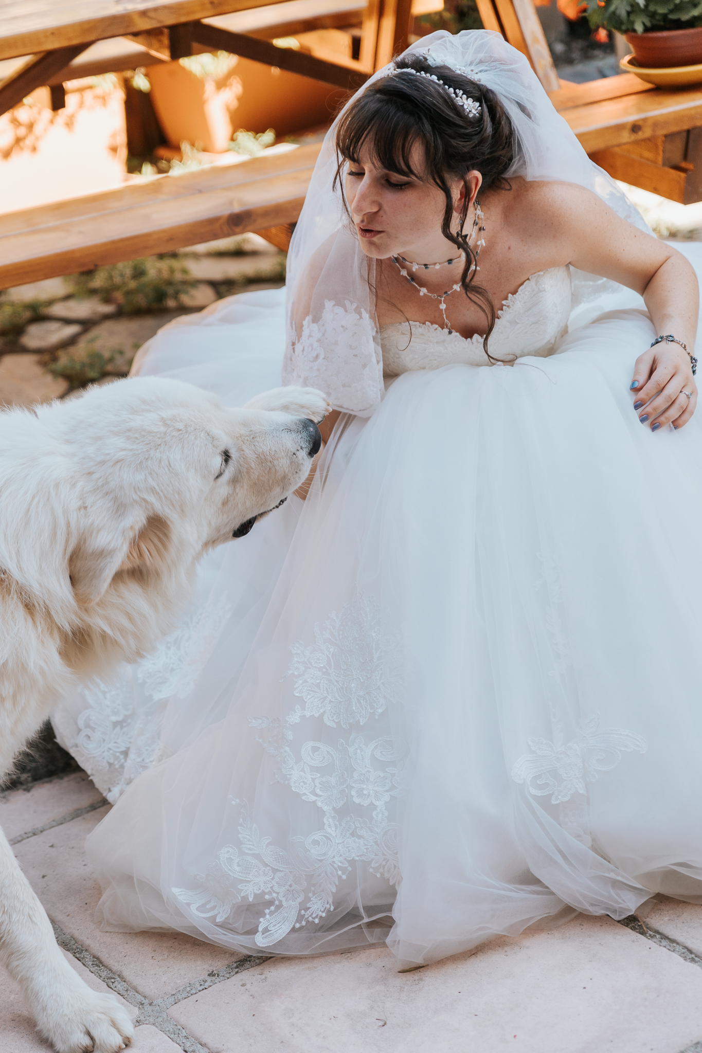 Mariée avec son chien pendant un événement privé