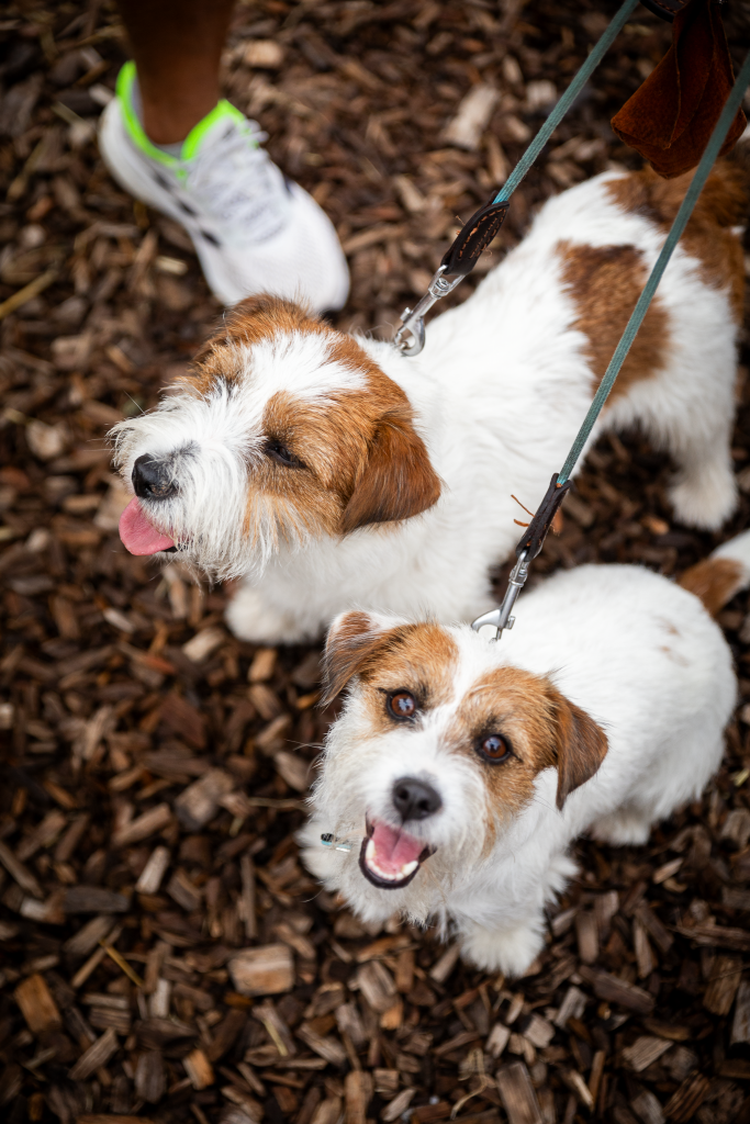 photographe événementiel Nice